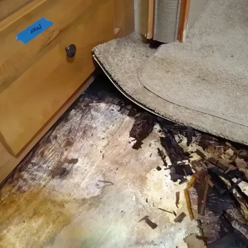 Wood Floor Water Damage in Fox Lake Hills, IL